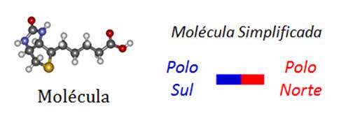 Molécula Simplificada